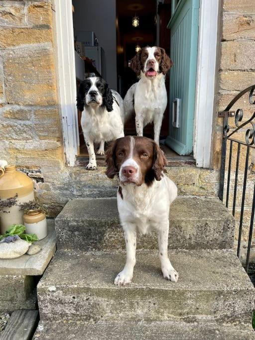 Spaniel Cottage With Views Of Ham Hill, Stoke Sub Hamdon Martock Kültér fotó